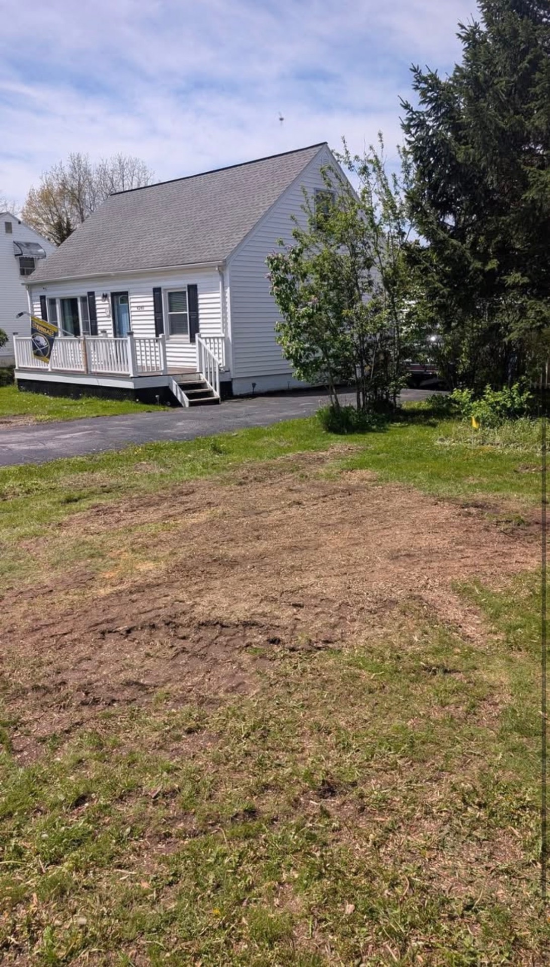 Residential lawn with a freshly ground stump area filled with wood chips
